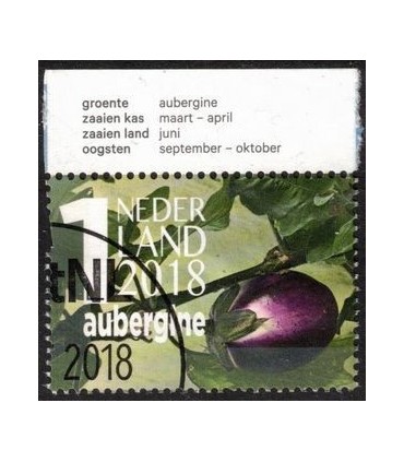 3696b Mijn groentetuin (o) TAB c