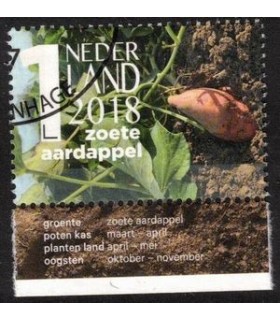 3696e Mijn groentetuin (o) TAB c