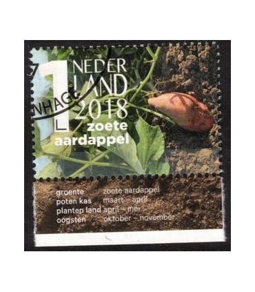 3696e Mijn groentetuin (o) TAB c