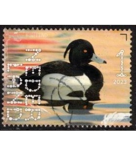 4144 Beleef de natuur Kuifeend (o)