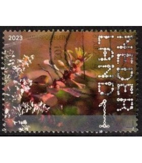 4139 Beleef de natuur Waterpostelein (o)