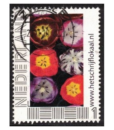 HetSchrijfLokaal (o)