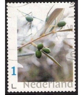 Tak met eikels (o)