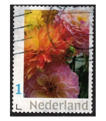 Droogbloemen (o) lees!