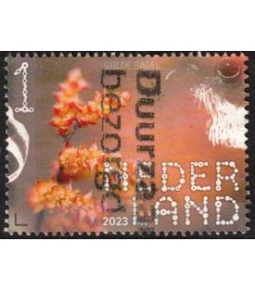 4146 Beleef de natuur Wilde gagel (o)