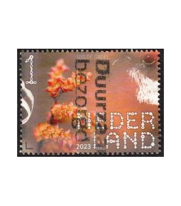 4146 Beleef de natuur Wilde gagel (o)