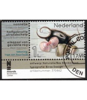 3554 Leven in de Noordzee Nonnetje (o) TAB