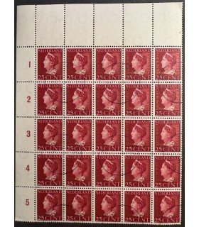 Cour 24 (o) vel 25 stuks