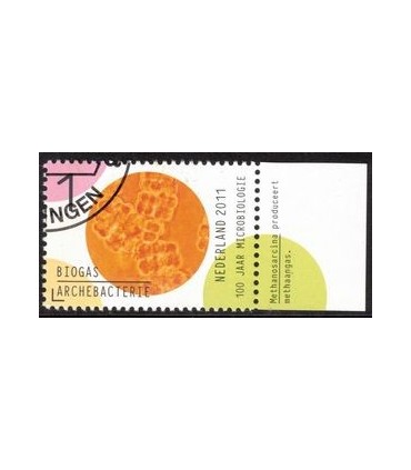 2837 Microbiologie biogas (o) TAB c