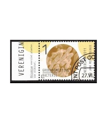 2838 Microbiologie groenbemesting (o) TAB c