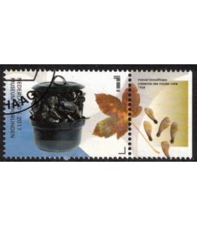 3558 Museum Voorlinden Marcel Boordthaers (o) TAB c