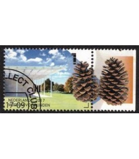 3560 Museum Voorlinden dennenappel (o) TAB