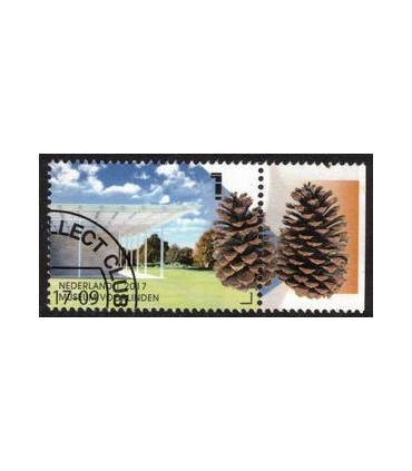 3560 Museum Voorlinden dennenappel (o) TAB c