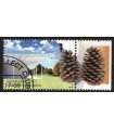 3560 Museum Voorlinden dennenappel (o) TAB