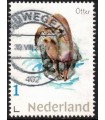 Dieren Otter (o)