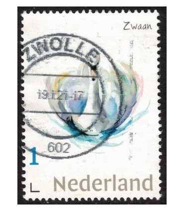 Dieren Zwaan (o)
