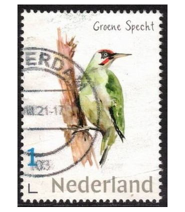 Dieren Groene Specht (o)
