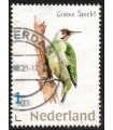 Dieren Groene Specht (o)