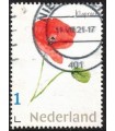 Planten Klaproos (o)