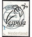 Vespula (o)