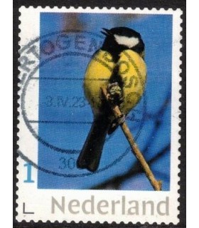 Koolmees op tak (o)