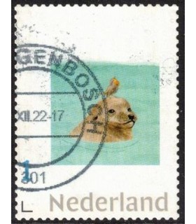 Zeehond met vogel (o)