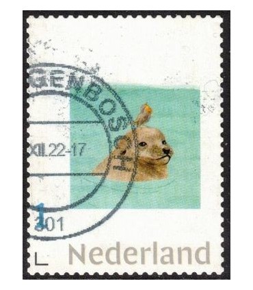 Zeehond met vogel (o)