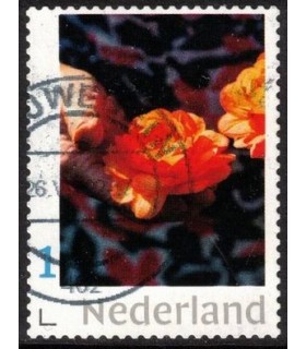 Roos in de hand (o)