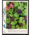 Klavertje vier (o)