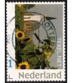 Texel (o) 7.