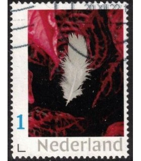 Veertje wit (o)