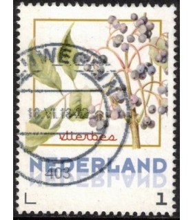 Vruchten Vlierbes (o)