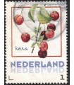Vruchten Kers (o)