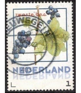 Vruchten Zwarte Bes (o)