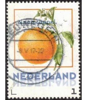Vruchten Sinaasappel (o)