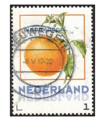 Vruchten Sinaasappel (o)