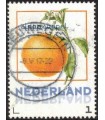 Vruchten Sinaasappel (o)