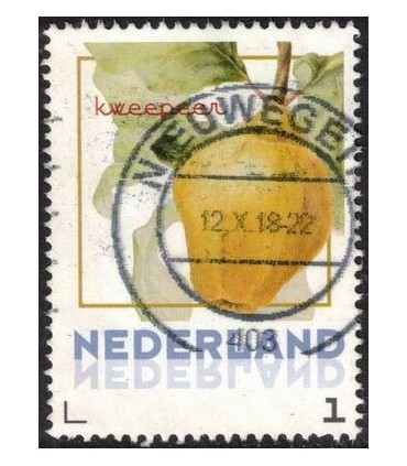 Vruchten Kweekpeer (o)