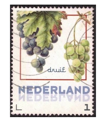 Vruchten Druif (o)