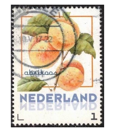 Vruchten Abrikoos (o)