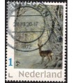 Rien Poortvliet Ree (o)