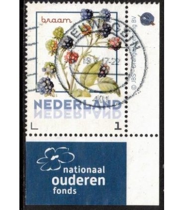 Vruchten braam (o) TAB