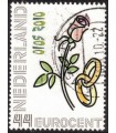 Ringen met een tulp (o)