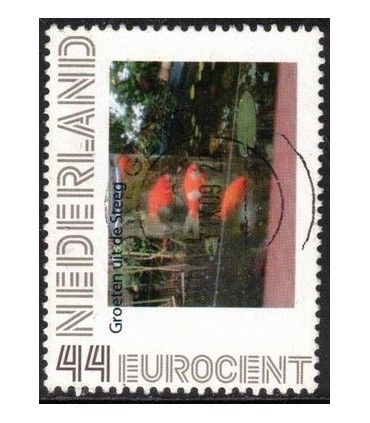 Groeten uit de Steeg (o)