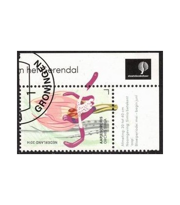 3184 Aapjes Orchis (o) TAB