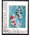 Koi (o)
