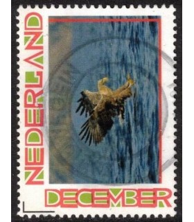 Kerst arend (o)