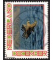 Kerst arend (o)