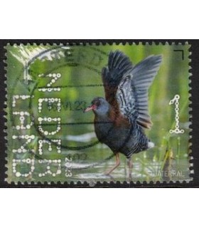 4115 Beleef de natuur Waterral (o)