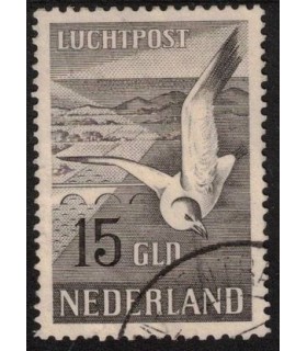 LP12 Zeemeeuw (o) 3.